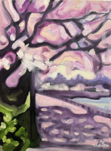 Kirschblüte (am Hudson)